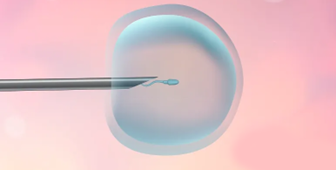 海口试管代怀孩子公司〗海口试管代怀孩子公司:梦想成真的开始 海口试管代怀孩子公司〗海口试管代怀孩子公司:梦想成真的开始