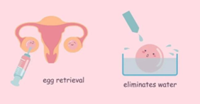 中国同性恋可以做试管代怀吗〗中国同性恋是否可试管代怀？