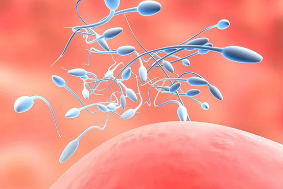 国外医院试管代怀安全吗〗国外医院试管代怀安全性调查