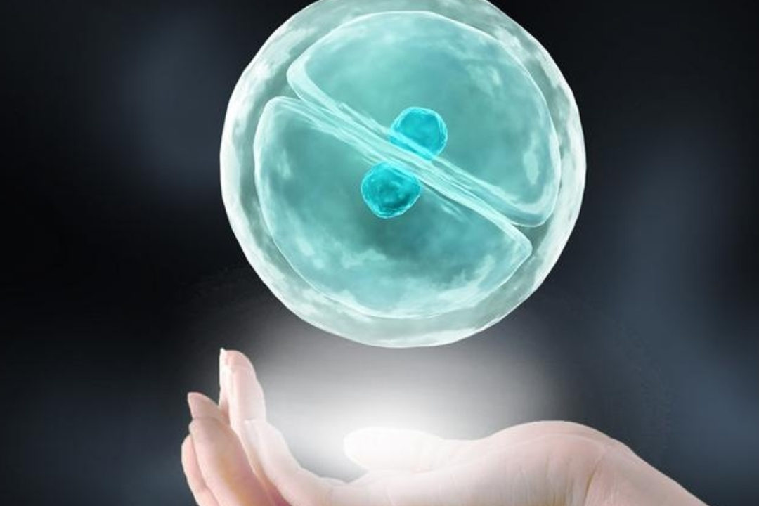 海口三代试管代怀生孩子大概多少钱〗海口三代试管代怀生孩子费用大概多少 海口三代试管代怀生孩子大概多少钱〗海口三代试管代怀生孩子费用大概多少