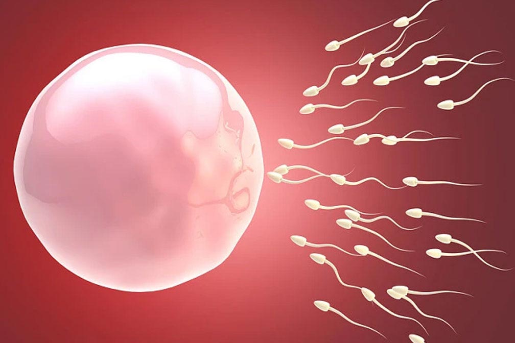 深圳试管助孕公司哪家好〗深圳试管助孕公司哪家好?Top排名揭晓